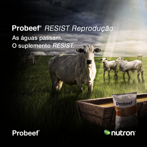 02.02__Feed