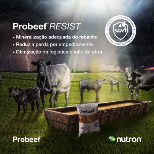 15.10_Feed