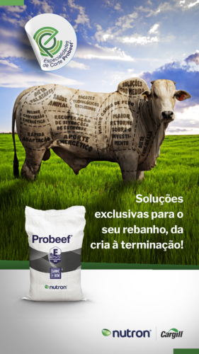 16.02_Feed - CAMPANHA