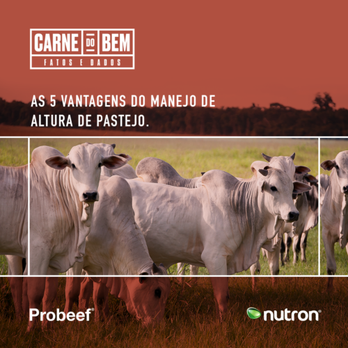 17.03 - Feed