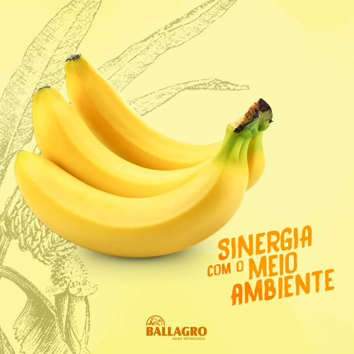 Ballagro-Calendario-Nov