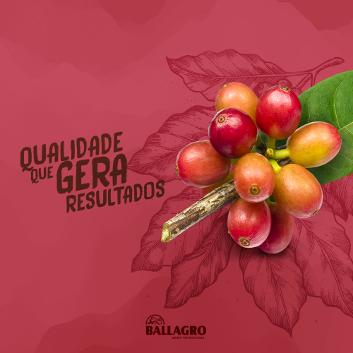 Ballagro_Calendario-fevereiro